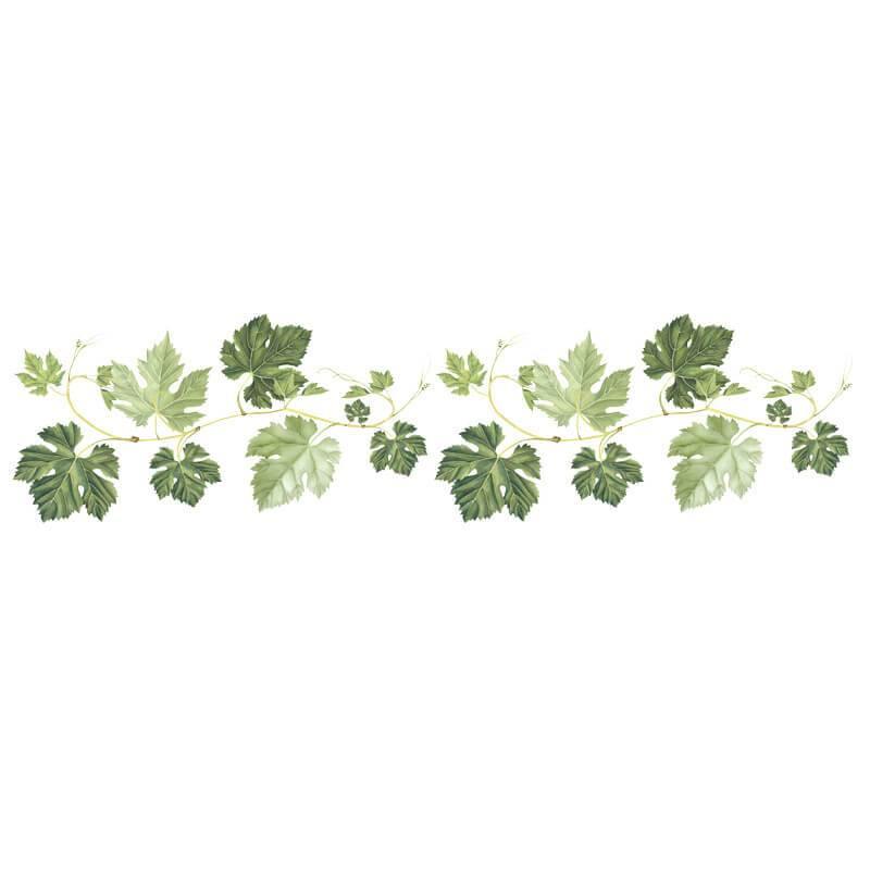 Gourd Leaf Vine Peel and Stick Decals - Commomy