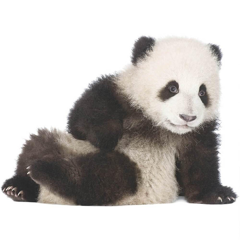 Lifelike Lovely Panda Peel and Stick Decal - Commomy
